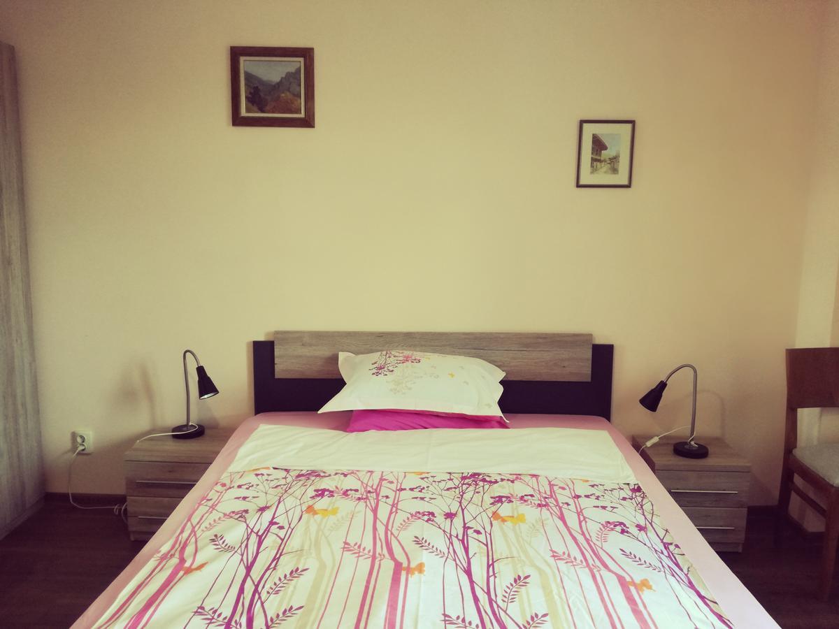 Apartment Durvenitza София Экстерьер фото